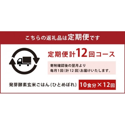 【毎月定期便】【常温】レンジ対応!3日寝かせ発芽酵素玄米ごはん10食全12回