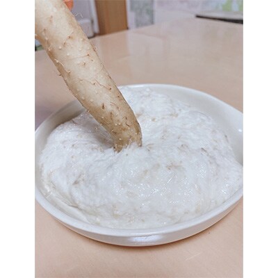 ここのえの自然薯　0.8kg～1.2kg