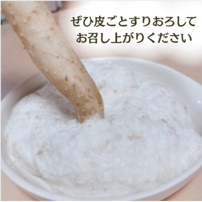 ここのえの自然薯 約1kg
