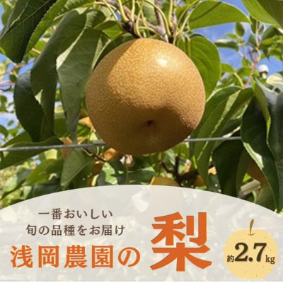 【2026年9月上旬から10月下旬発送】浅岡農園の梨　約2.7kg
