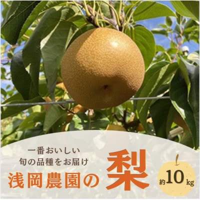 【2026年9月上旬から10月下旬発送】浅岡農園の梨　約10kg