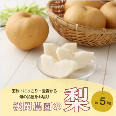 【2026年11月下旬より発送予定】浅岡農園の梨 約5kg