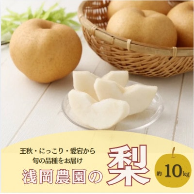 【2026年11月下旬より発送予定】浅岡農園の梨 約10kg