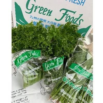大分県産　全力!高原野菜セット