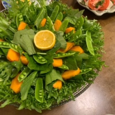 大分県産　全力!高原野菜セット
