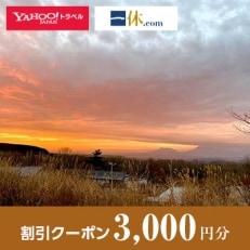 【大分県九重町】一休.com・Yahoo!トラベル割引クーポン(3,000円分)