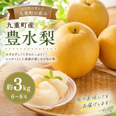 【2026年8月中旬より順次発送】九重町産 豊水梨 約3kg(6～8玉)