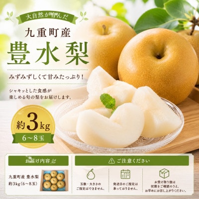 【2026年8月中旬より順次発送】九重町産 豊水梨 約3kg(6～8玉)