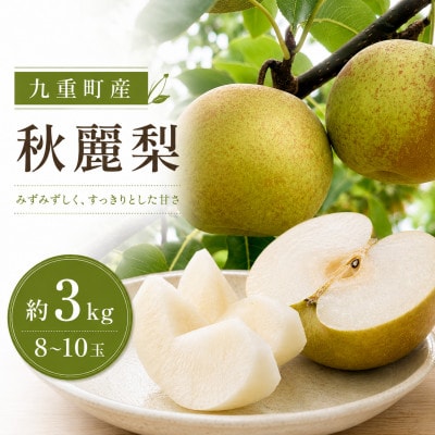 【2026年8月下旬より順次発送】九重町産 ご家庭用 秋麗梨 約3kg(8～10玉)