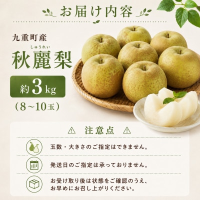 【2026年8月下旬より順次発送】九重町産 ご家庭用 秋麗梨 約3kg(8～10玉)