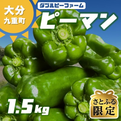 【さとふる限定】【先行受付】大分県九重町産 ピーマン 約1.5kg