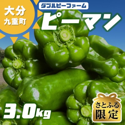 【さとふる限定】【先行受付】大分県九重町産 ピーマン 約3.0kg