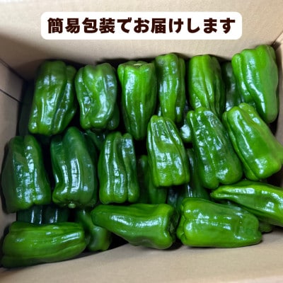 【さとふる限定】【先行受付】大分県九重町産 ピーマン 約3.0kg