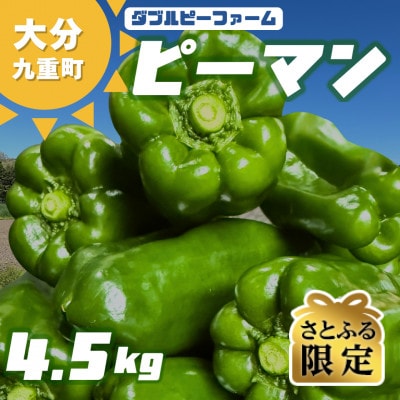 【さとふる限定】【先行受付】大分県九重町産 ピーマン 約4.5kg