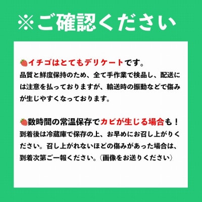 【先行予約】【27年2月以降順次発送】大分産ベリーツ(約250g×6パック)(九重町)