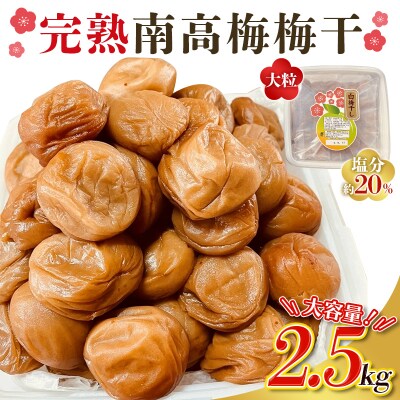 訳あり やま梅農園の南高梅白梅干し 2.5㎏ (1.25kg×2)【ymu001B 訳あり やま梅農園の南高梅白梅干し 2.5㎏ (1.25kg×2)【ymu001B