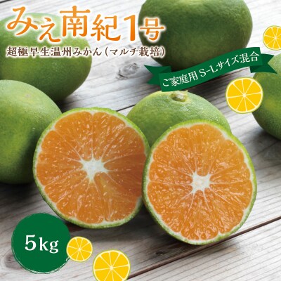 みえ南紀1号 超極早生温州みかん マルチ 5kg【9月下旬頃～発送】【mtn001B】