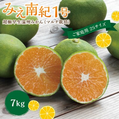 たにぐち農園の超極早生温州みかん(マルチ栽培)7kg【2023年9月上旬～下旬発送】【mtn021】