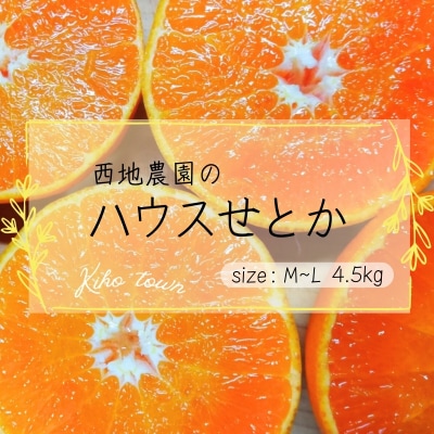 西地農園のハウスせとか 4.5kg M～Lサイズ 【2月中旬～順次発送】【mnd004B】