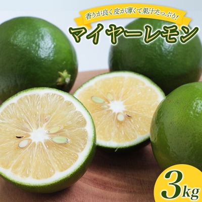 はぎファームのマイヤーレモン 3kg 【2025年10月～2026年1月下旬発送】【hgf001A】
