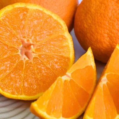 たにぐち農園の完熟不知火 5kg【2026年2月中旬～3月下旬順次発送】【mtn011B】