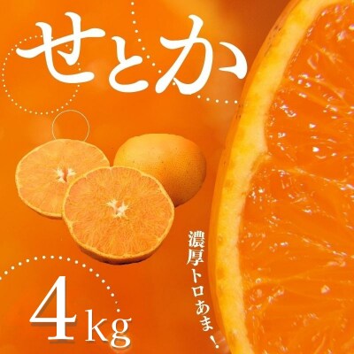家庭用 たにぐち農園のせとか 4kg 大小混合【2026年3月～4月上旬発送】【mtn012C】
