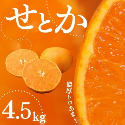 家庭用 たにぐち農園のせとか 4.5kg 大小混合【2027年3月～4月上旬発送】【mtn012C】