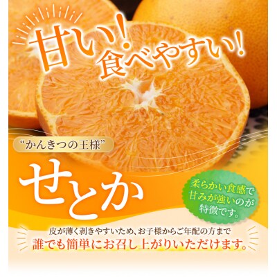 家庭用 たにぐち農園のせとか 4kg 大小混合【2026年3月～4月上旬発送】【mtn012C】