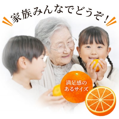 家庭用 たにぐち農園のせとか 4.5kg 大小混合【2027年3月～4月上旬発送】【mtn012C】