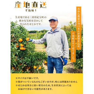 家庭用 たにぐち農園のせとか 4.5kg 大小混合【2027年3月～4月上旬発送】【mtn012C】