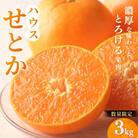 2L～3L 阪口農園のハウスせとか3kg【msa001B】