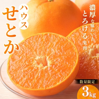 阪口農園のハウスせとか3kg 2L～3L 【msa001B】