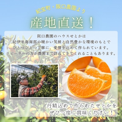 阪口農園のハウスせとか3kg 2L～3L 【msa001B】