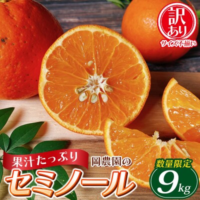 訳あり サイズ混合 岡農園のセミノール9kg 【2024年3月下旬～4月下旬発送】【mok004】