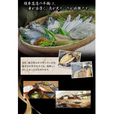 季節のおすすめ干物セットA 三重県紀宝町産 ※季節によって内容が異なります【ems002】