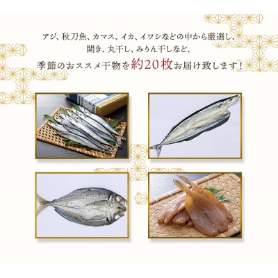 季節のおすすめ干物セットB  三重県紀宝町産 ※季節によって内容が異なります【ems003】