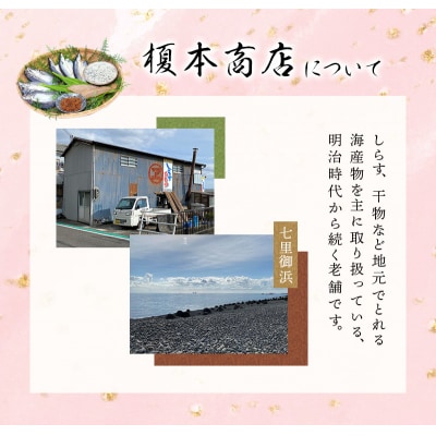 季節のおすすめ干物セットB  三重県紀宝町産 ※季節によって内容が異なります【ems003】