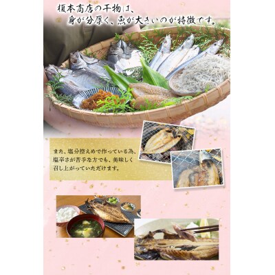 季節のおすすめ干物セットB  三重県紀宝町産 ※季節によって内容が異なります【ems003】