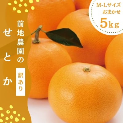 前地農園のせとか サイズ不揃い M-2L 5kg ご家庭用【mmd003B】