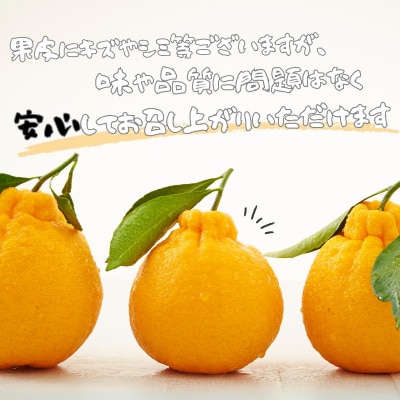 訳あり 石本農園の 不知火 4.5kg M-4L サイズおまかせ【mis012A】