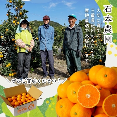 訳あり 石本農園の 不知火 4.5kg M-4L サイズおまかせ【mis012A】