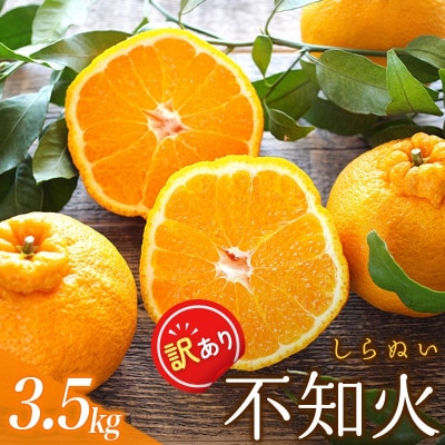 訳あり 不知火 約3.5kg 大小混合【2027年2月初旬～3月下旬頃発送予定】【njb670E】
