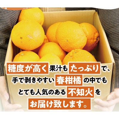 訳あり 不知火 約3.5kg 大小混合【2027年2月初旬～3月下旬頃発送予定】【njb670E】