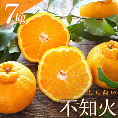 訳あり 不知火 7kg 大小混合【2023年2月中旬～3月下旬頃発送】【njb671】