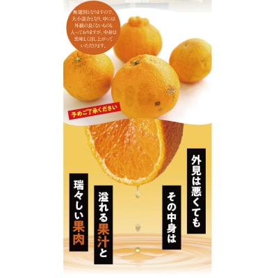 訳あり 不知火 7kg 大小混合【2024年2月中旬～3月下旬頃発送】【njb671A】