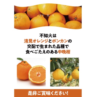 訳あり 不知火 7kg 大小混合【2024年2月中旬～3月下旬頃発送】【njb671A】