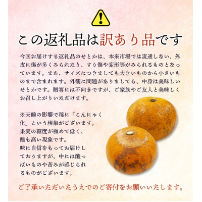 訳あり せとか 3.5kg+200g(傷み補償分) 【2月下旬頃～順次発送】【njb682A】