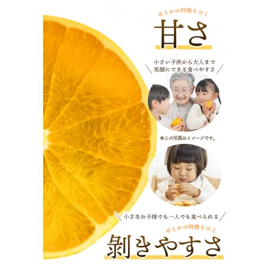 訳あり せとか 3.5kg+200g(傷み補償分) 大小混合【2月下旬頃～順次発送】【njb682】