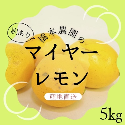 【先行受付】橋本農園の 訳ありマイヤーレモン 5kg【2026年12月中旬～発送】【mht015】
