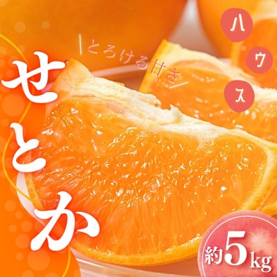 【先行受付】L～3L混合 橋本農園のハウスせとか 5kg【mht001A】
